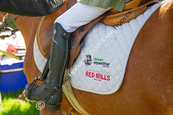 Science Supplements All England Jumping Championships