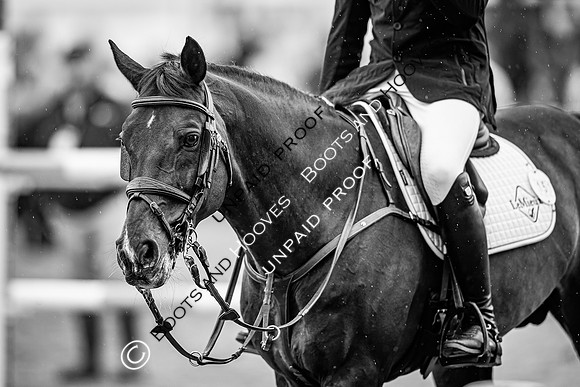 The Royal Windsor Horse Show