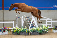 The Billy Stud Auction