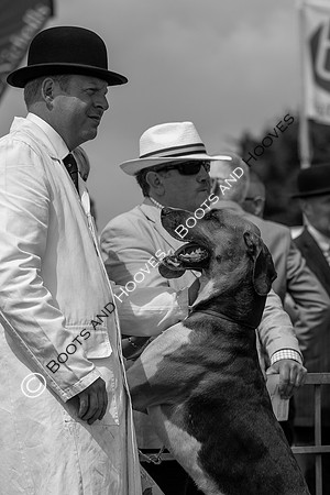 Festival of Hunting