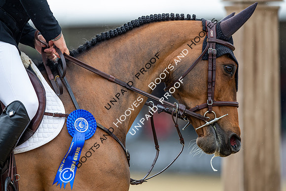 The Royal Windsor Horse Show