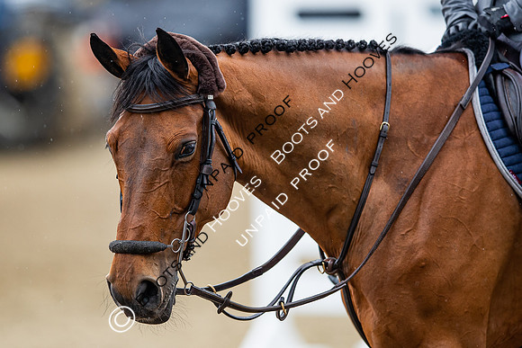 The Royal Windsor Horse Show