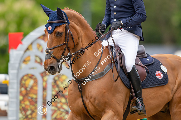 The Royal Windsor Horse Show