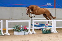 The Billy Stud Auction