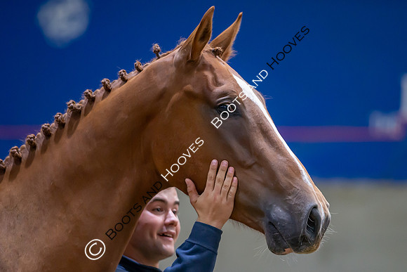 The Billy Stud Auction