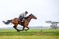 Newmarket