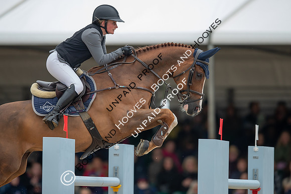 The Royal Windsor Horse Show