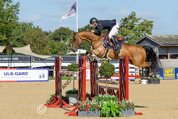 The Al Shira'aa British Young Horse Championships
