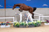 The Billy Stud Auction