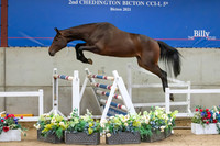 The Billy Stud Auction