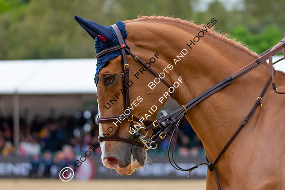 The Royal Windsor Horse Show