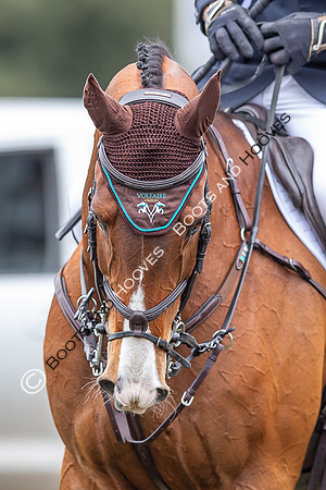 Badminton Horse Trials presented by Mars Equestrian