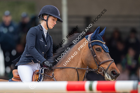 The Royal Windsor Horse Show