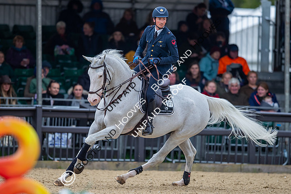 The Royal Windsor Horse Show