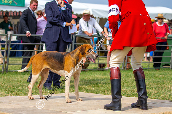Festival of Hunting