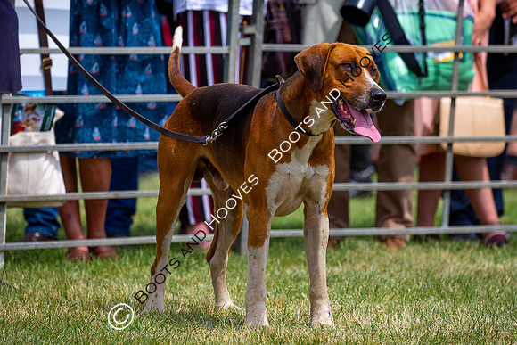 Festival of Hunting
