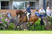 The Agria Royal International Horse Show