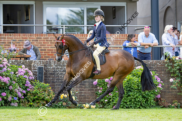 The Agria Royal International Horse Show