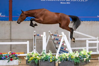 The Billy Stud Auction
