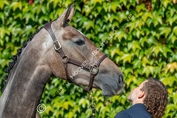 The Billy Stud Auction