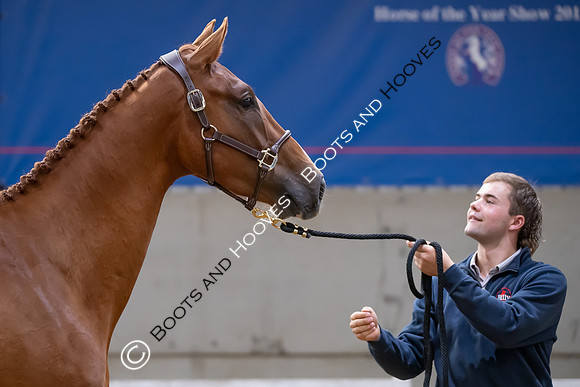 The Billy Stud Auction