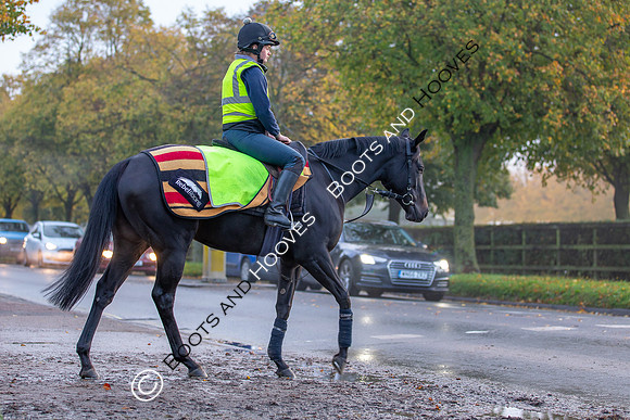 Newmarket