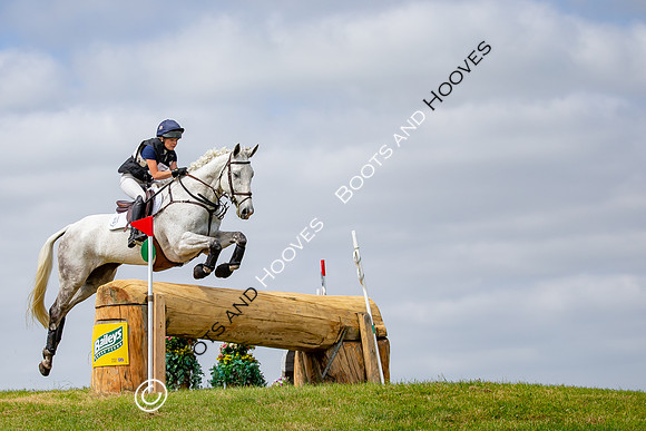 The Childeric Saddles Little Downham (1)