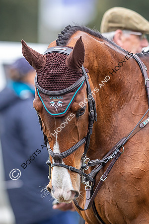 Badminton Horse Trials presented by Mars Equestrian