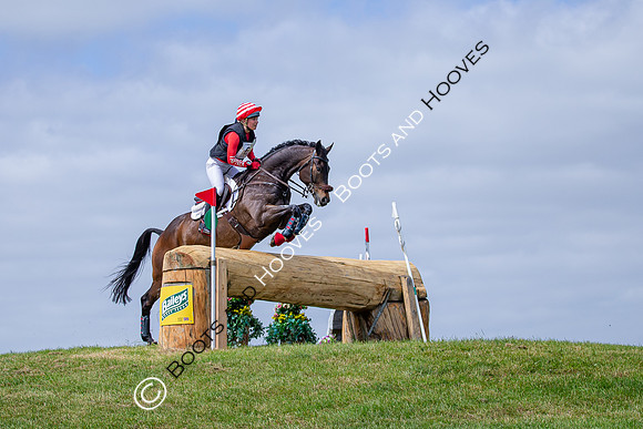The Childeric Saddles Little Downham (1)