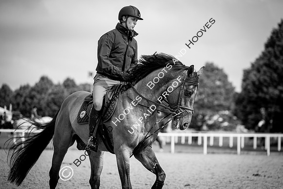 The Royal Windsor Horse Show