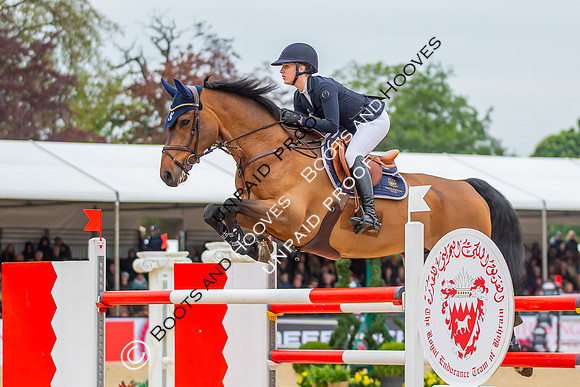 The Royal Windsor Horse Show