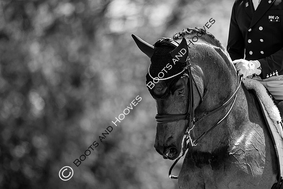 I.C.E. HORSEBOXES ALL ENGLAND DRESSAGE FESTIVAL 2023