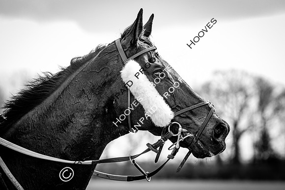 High Easter Point to Point