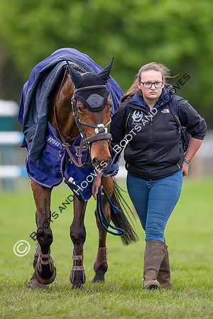 Badminton Horse Trials presented by Mars Equestrian