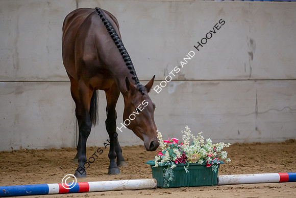 The Billy Stud Auction