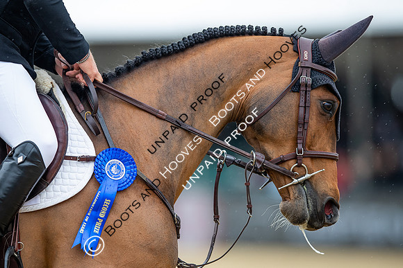 The Royal Windsor Horse Show