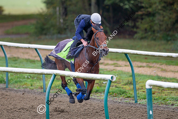 Newmarket