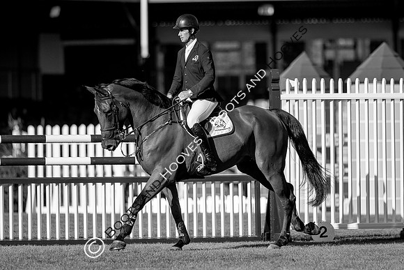 Science Supplements All England Jumping Championships