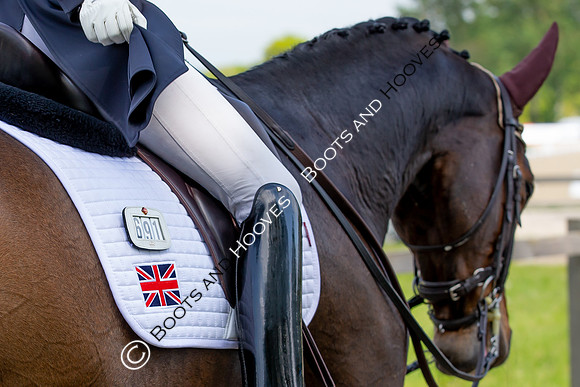 I.C.E. HORSEBOXES ALL ENGLAND DRESSAGE FESTIVAL 2023