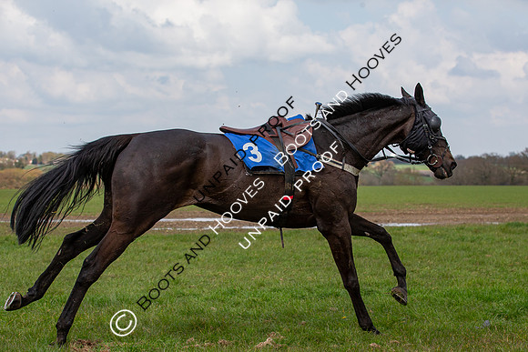 High Easter Point to Point