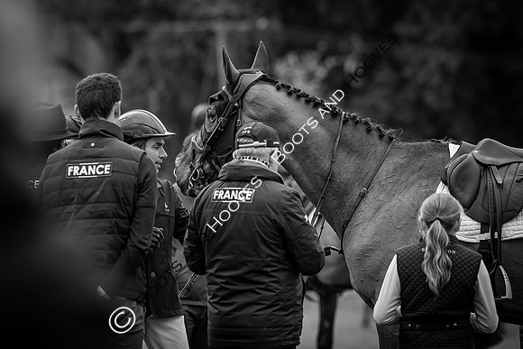 Badminton Horse Trials presented by Mars Equestrian