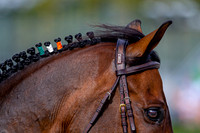 Showjumping