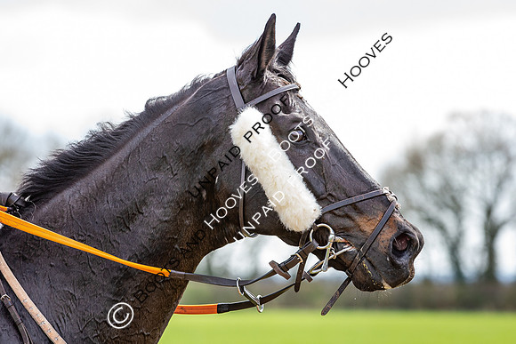 High Easter Point to Point