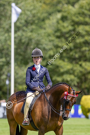 The Agria Royal International Horse Show