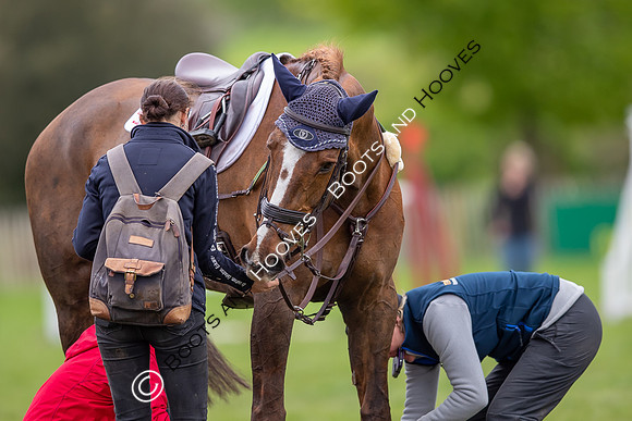 Badminton Horse Trials presented by Mars Equestrian