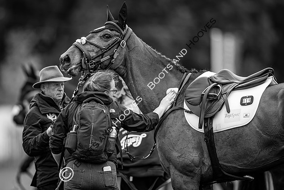 Badminton Horse Trials presented by Mars Equestrian