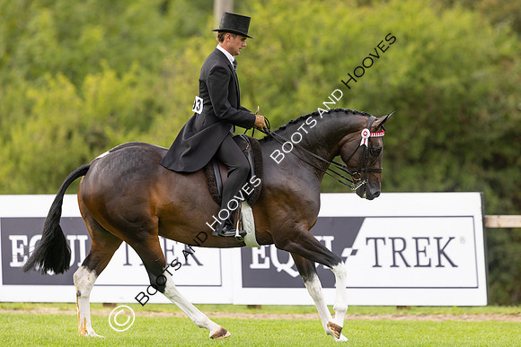 The Royal International Horse Show