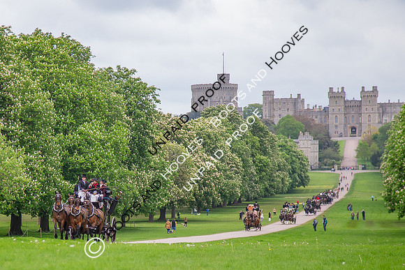 The Royal Windsor Horse Show