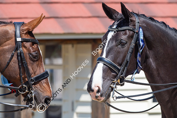 I.C.E. HORSEBOXES ALL ENGLAND DRESSAGE FESTIVAL 2023
