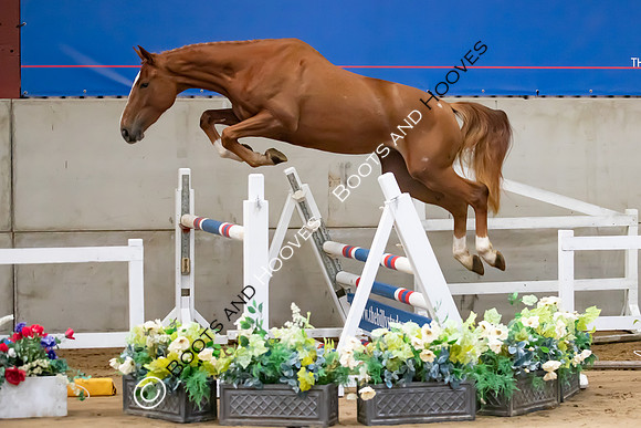 The Billy Stud Auction